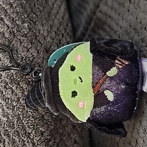 🖤A7🔹️Wicked Elphaba Squishmallow Clip